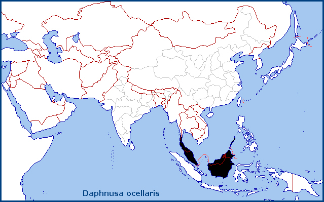 Global distribution of Daphnusa ocellaris. Map: &copy; Tony Pittaway.