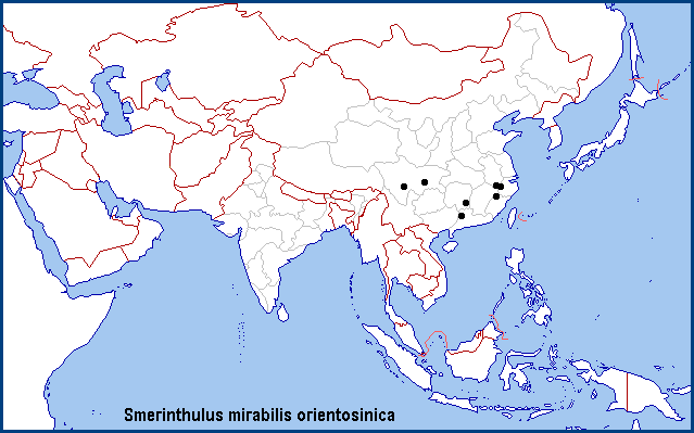 Global distribution of Smerinthulus mirabilis orientosinica. Map: &copy; NHMUK.