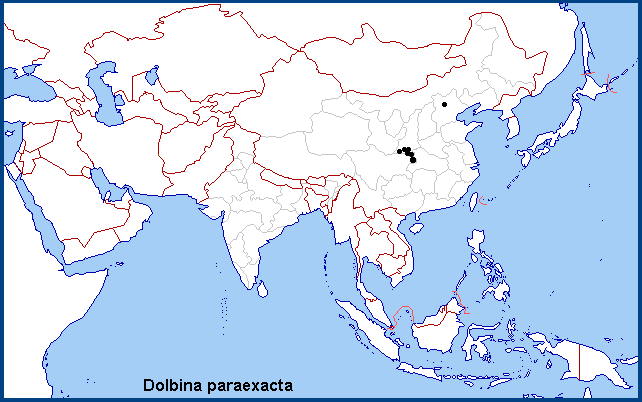 Global distribution of Dolbina paraexacta. Map: &copy; NHMUK.