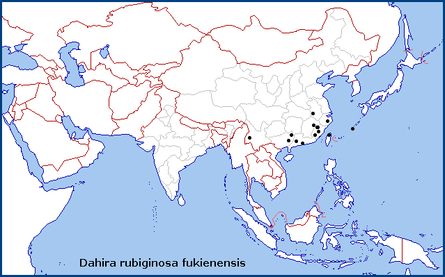 Global distribution of Dahira rubiginosa fukienensis. Map: &copy; Tony Pittaway.