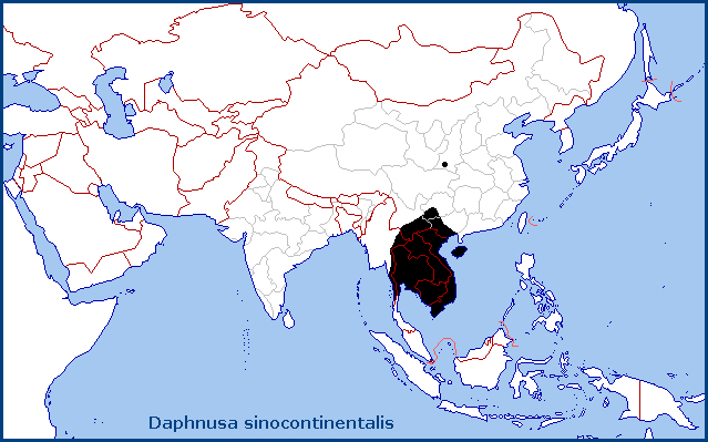 Global distribution of Daphnusa sinocontinentalis. Map: &copy; Tony Pittaway.