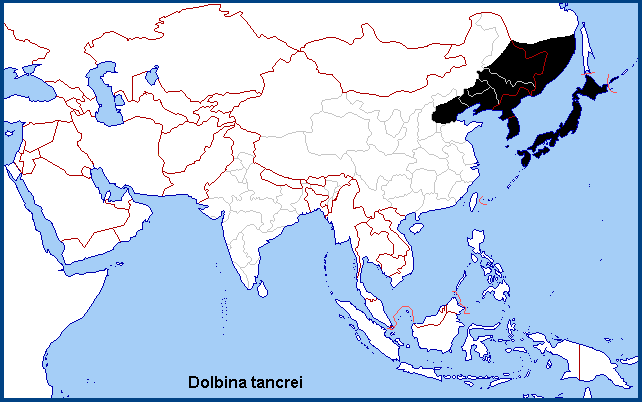 Confirmed distribution of Dolbina tancrei. Map: &copy; NHMUK.