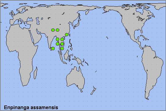 Global distribution of Enpinanga assamensis. Map: &copy; NHMUK.