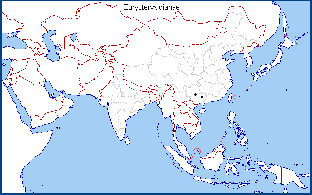 Global distribution of Eurypteryx dianae. Map: &copy; Tony Pittaway.