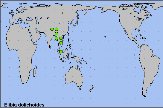 Global distribution of Elibia dolichoides. Map: &copy; NHMUK.