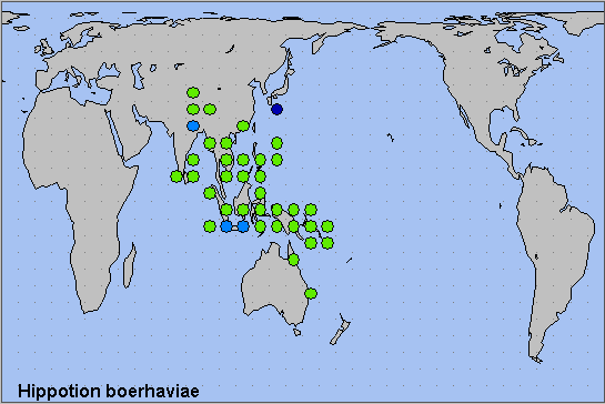 Global distribution of Hippotion boerhaviae. Map: &copy; NHMUK.