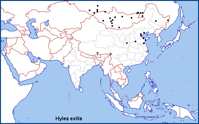 Global distribution of Hyles exilis. Map: &copy; NHMUK.