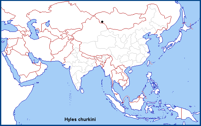 Global distribution of Hyles churkini. Map: &copy; NHMUK.