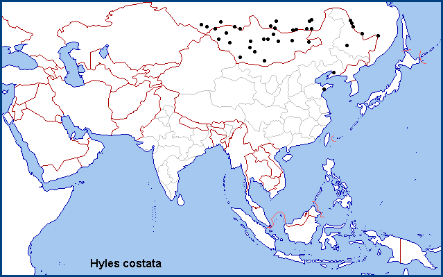 Global distribution of Hyles costata. Map: &copy; NHMUK.