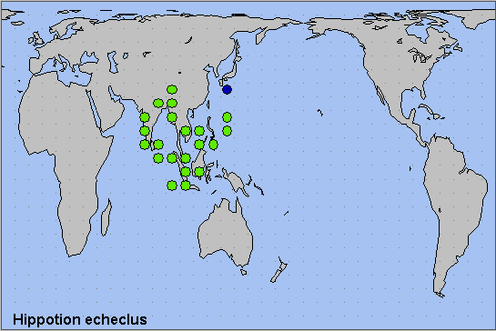 Global distribution of Hippotion echeclus. Map: &copy; NHMUK.