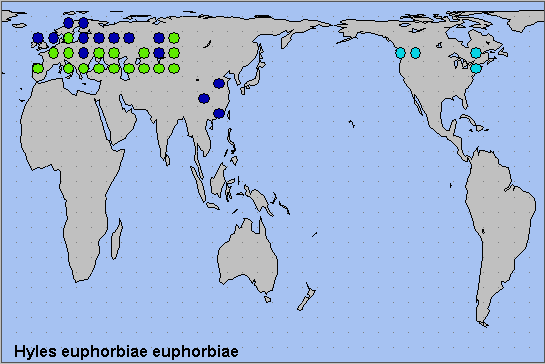 Global distribution of Hyles euphorbiae euphorbiae. Map: &copy; NHMUK.
