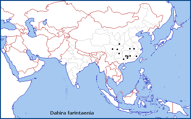 Global distribution of Dahira farintaenia. Map: &copy; Tony Pittaway.