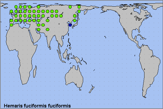 Global distribution of Hemaris fuciformis fuciformis. Map: &copy; NHMUK.