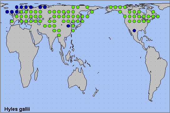 Global distribution of Hyles gallii. Map: &copy; NHMUK.