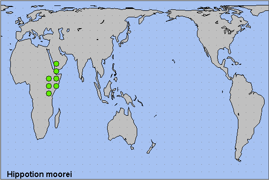 Global distribution of Hippotion moorei. Map: &copy; NHMUK.
