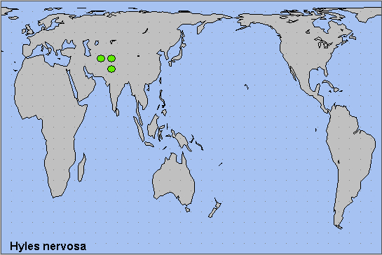 Global distribution of Hyles nervosa. Map: &copy; NHMUK.