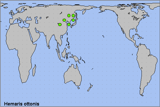 Global distribution of Hemaris ottonis. Map: &copy; NHMUK.