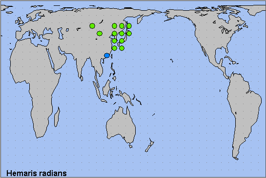 Global distribution of Hemaris radians. Map: &copy; NHMUK.