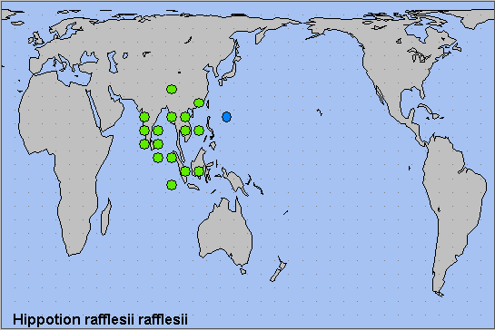 Global distribution of Hippotion rafflesii rafflesii. Map: &copy; NHMUK.