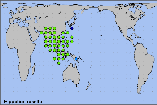 Global distribution of Hippotion rosetta. Map: &copy; NHMUK.