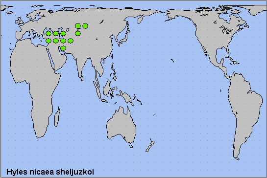 Global distribution of Hyles nicaea sheljuzkoi. Map: &copy; NHMUK.