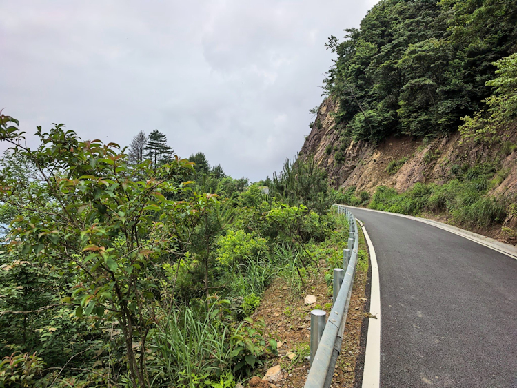Typical habitat of Hemaris staudingeri, Qixizhen, Kaihua County, Quzhou, Zhejiang Province, China, vi.2026, 1000-1200m. Photo: &copy; Serge Yevdoshenko.