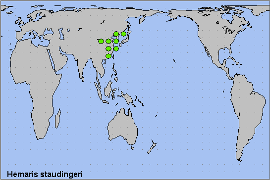 Global distribution of Hemaris staudingeri. Map: &copy; NHMUK.