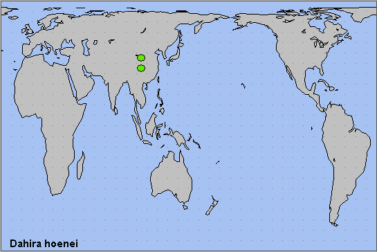 Global distribution of Dahira hoenei. Map: &copy; NHMUK.