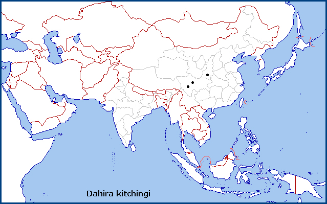 Global distribution of Dahira kitchingi. Map: &copy; Tony Pittaway.