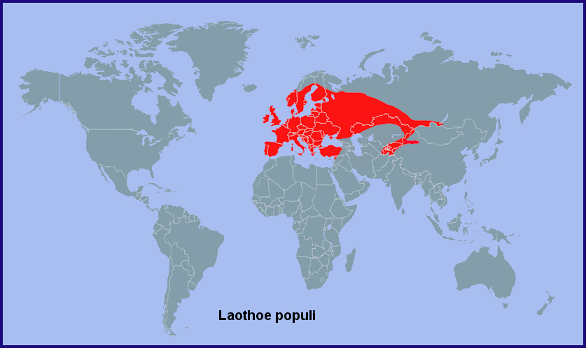 Global distribution of Laothoe populi. Map: &copy; Tony Pittaway.