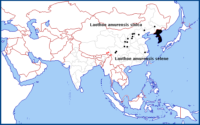 Confirmed distribution of Laothoe amurensis selene in China. Map: &copy; Tony Pittaway