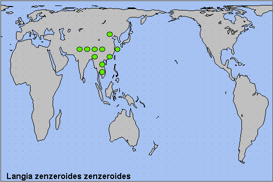 Global distribution of Langia zenzeroides zenzeroides. Map: &copy; NHMUK.