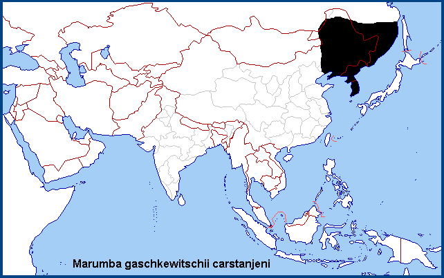 Global distribution of Marumba gaschkewitschii carstanjeni. Map: &copy; NHMUK.
