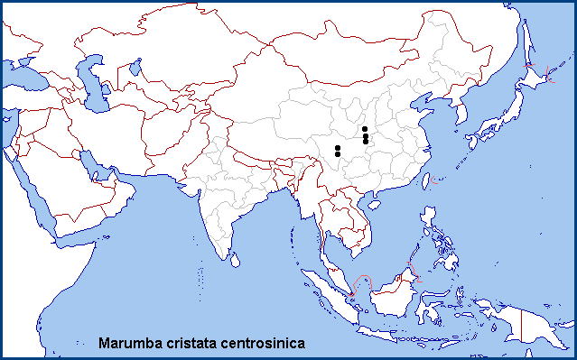 Global distribution of Marumba cristata centrosinica. Map: &copy; NHMUK.