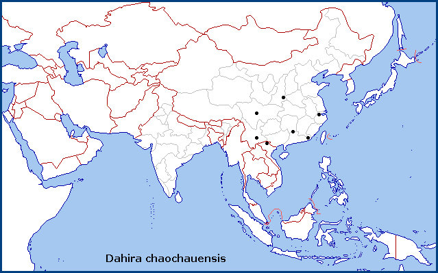Global distribution of Dahira chaochauensis. Map: &copy; Tony Pittaway.