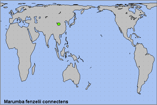 Global distribution of Marumba fenzelii connectens. Map: &copy; NHMUK.