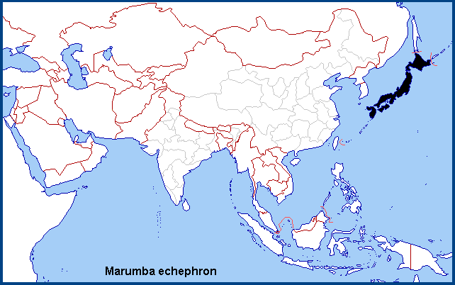Global distribution of Marumba echephron. Map: &copy; NHMUK.