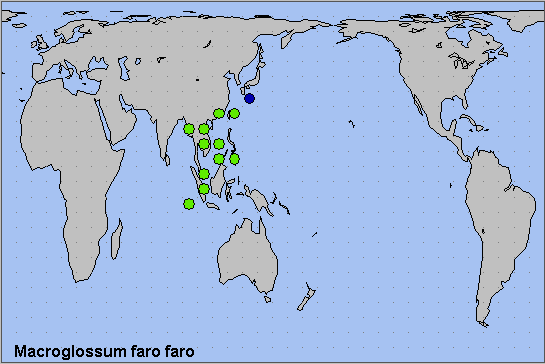 Global distribution of Macroglossum faro faro. Map: &copy; NHMUK.