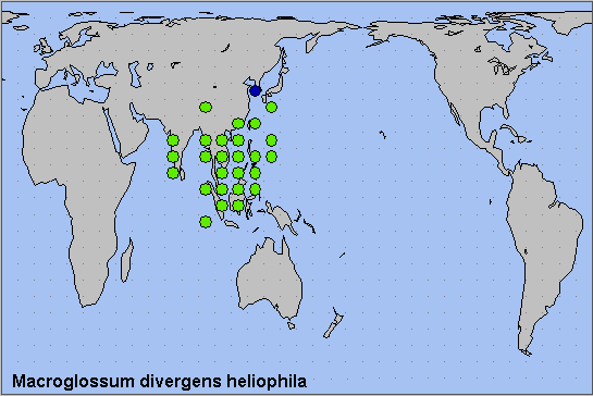 Global distribution of Macroglossum divergens heliophila. Map: &copy; NHMUK.