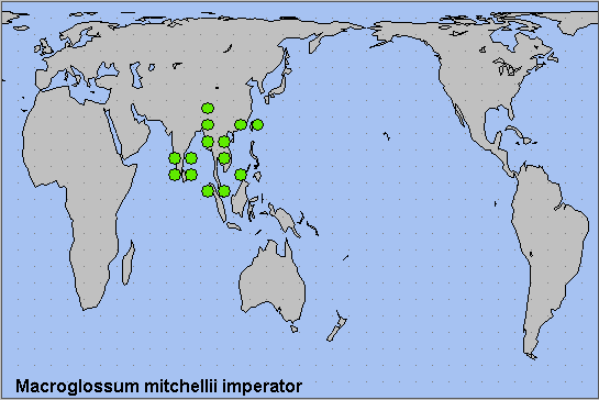 Global distribution of Macroglossum mitchellii imperator. Map: &copy; NHMUK.