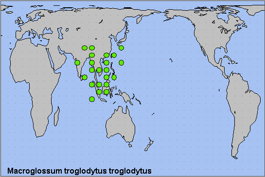 Global distribution of Macroglossum troglodytus troglodytus. Map: &copy; NHMUK.