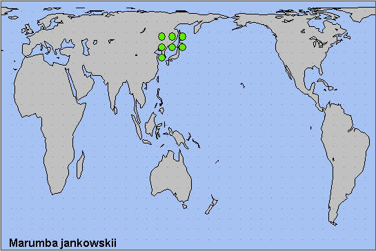 Global distribution of Marumba jankowskii. Map: &copy; NHMUK.