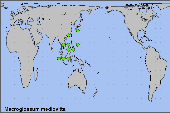 Global distribution of Macroglossum mediovitta. Map: &copy; NHMUK.