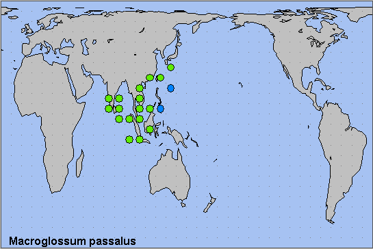 Global distribution of Macroglossum passalus. Map: &copy; NHMUK.