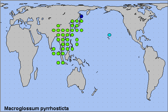 Global distribution of Macroglossum pyrrhosticta. Map: &copy; NHMUK.
