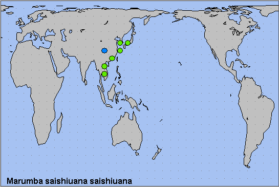 Global distribution of Marumba saishiuana saishiuana. Map: &copy; NHMUK.