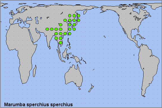 Global distribution of Marumba sperchius sperchius. Map: &copy; NHMUK.
