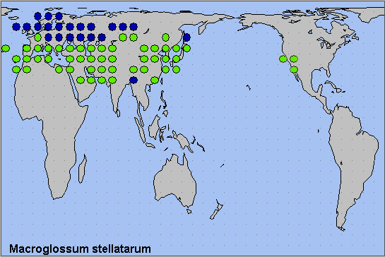 Global distribution of Macroglossum stellatarum. Map: &copy; NHMUK.
