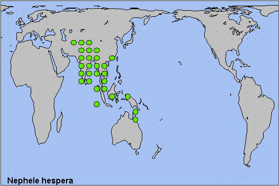 Global distribution of Nephele hespera. Map: &copy; NHMUK.