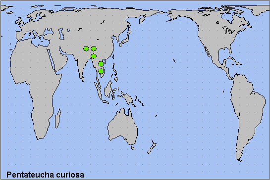 Global distribution of Pentateucha curiosa. Map: &copy; NHMUK.
